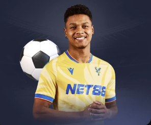 芋头和红薯哪个热量高